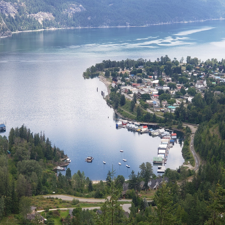 View of Kaslo BC from Wardner Trail