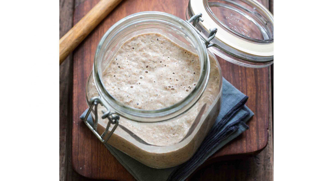 Kaslo Sourdough Research Project Results Are In: Influence of Sourdough Fermentation on the Gut Microbiome – Part 2