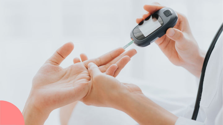 Kaslo Sourdough Pasta Celebrates the Launch of a New Research Project