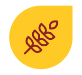 Traditional Sourdough Fermentation