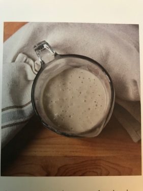 Image of a nice bubbly sourdough culture in a glass measuring cup. 